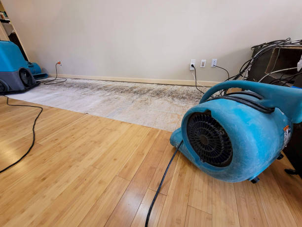 Professional Emergency Water Damage technician working in Bulverde, TX